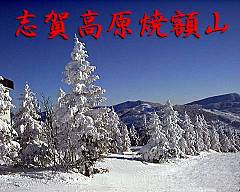 志賀高原焼額山