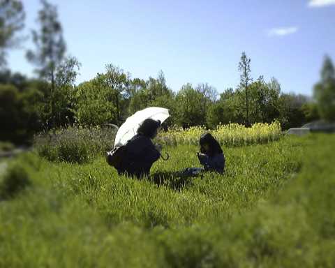 �Ȃɂ����́H