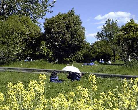 ���ꂳ��A����肾��