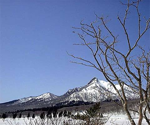 �t�E�E�E����'2000