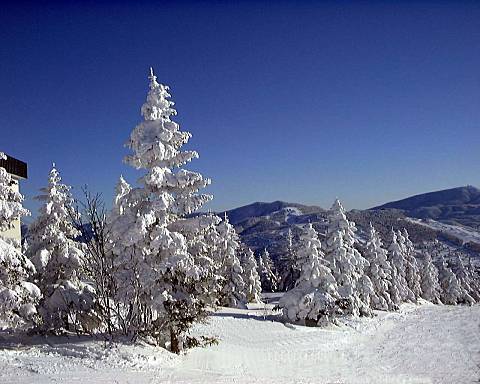 �u�ꍂ���Ċz�R