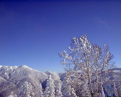 �u�ꍂ���Ċz�R