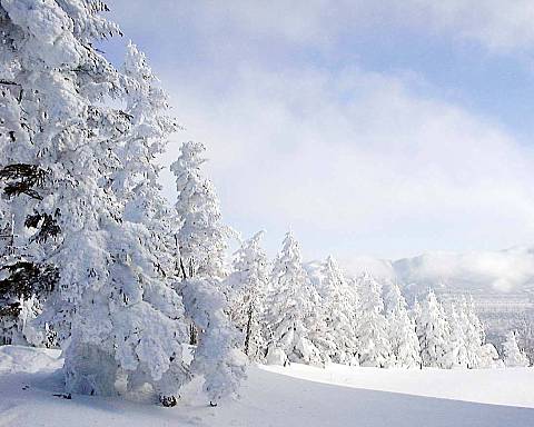 �u�ꍂ���Ċz�R