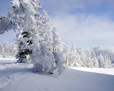 �u�ꍂ���Ċz�R