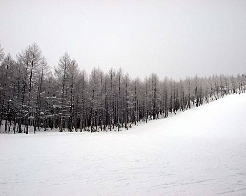 �u�ꍂ���Ċz�R