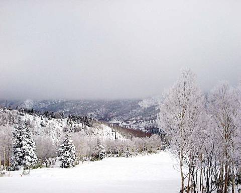 �u�ꍂ���Ċz�R